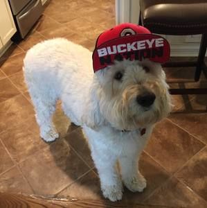 Meet your Posher, Mike